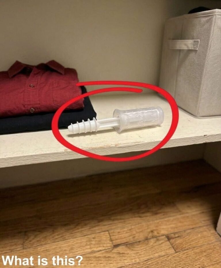 This evening, I opened my wife’s wardrobe and discovered this inside. I’ve been staring at it for half an hour now, but I still can’t figure out what it is. Does anyone know? 