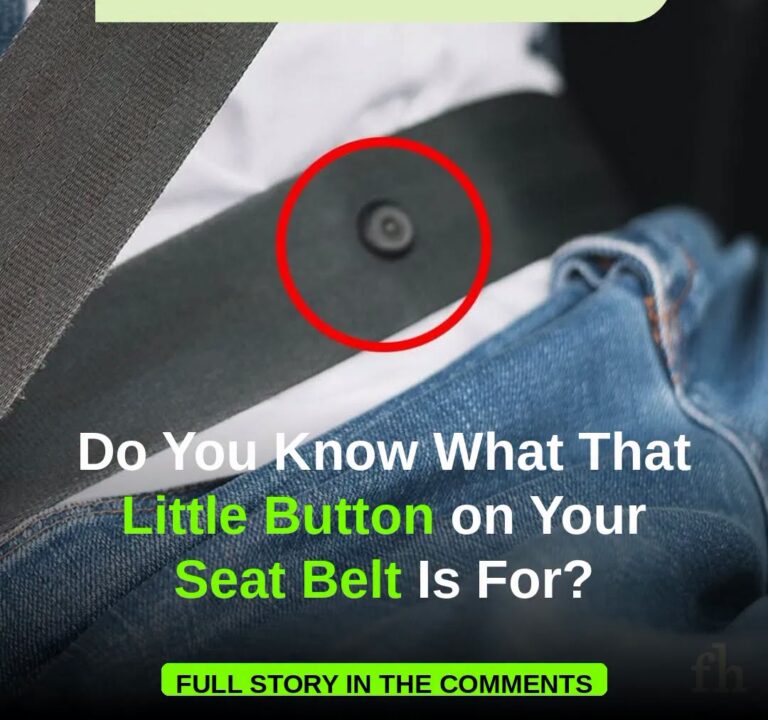 Do You Know What That Little Button on Your Seat Belt Is For?