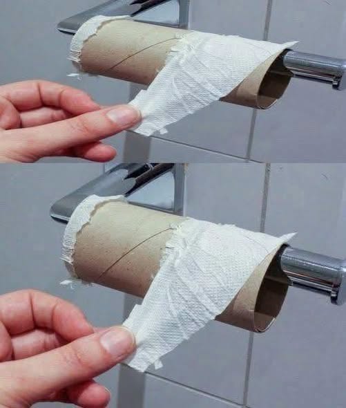 Why More People Are Exploring Eco-Friendly Alternatives to Traditional Toilet Paper