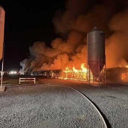 A few hours ago a big fire broke out in M… See more