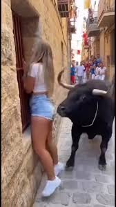 “Tourist Faces Bull — What Happens Next Will