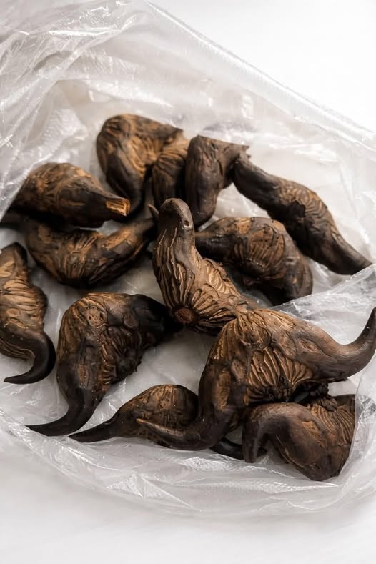 I Found A Strange Bag Of Food On My Doorstep And What Happened Next Will Shock You