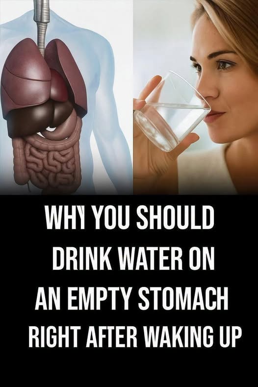 Benefits of drinking water on an empty stomach can play an important role in supporting overall health and daily energy. Starting the day with a glass of water helps rehydrate the body after hours of sleep and can support digestion, metabolism, and circulation. This simple morning habit may also help flush out toxins, improve focus, and prepare the body for the day ahead