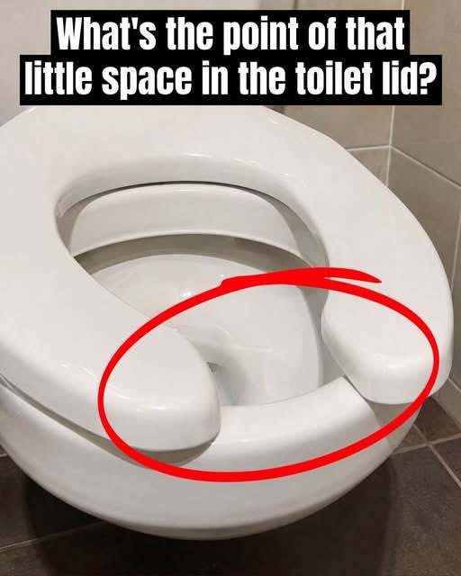 Have You Ever Wondered Why Public Restrooms H