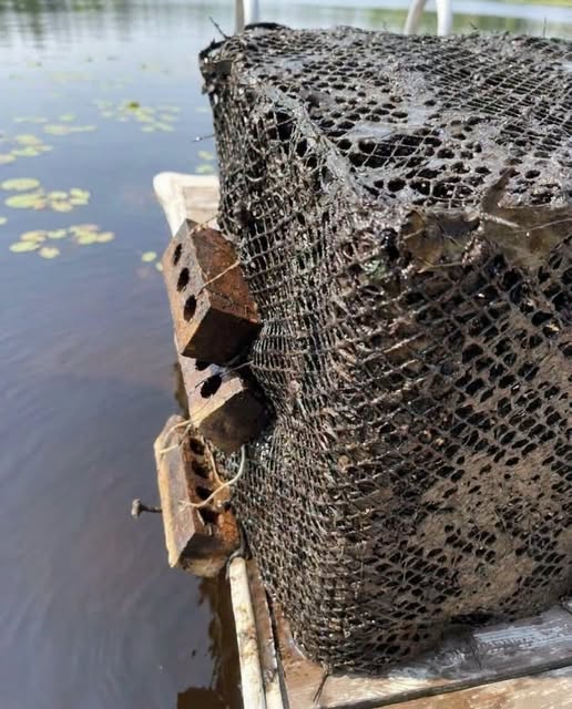 What Lies Beneath the Surface Will Blow Your Mind!