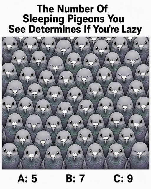 The Number Of Sleeping Pigeons You See Determines If You’re Lazy