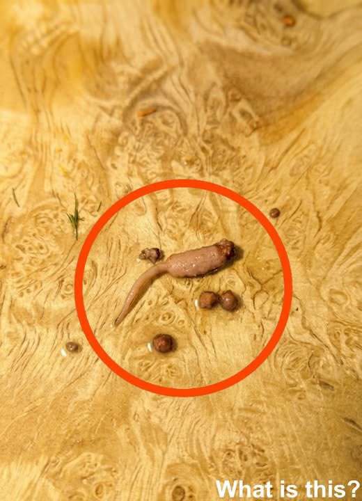 Something Unexpected Appeared in My Ground Beef While Cooking