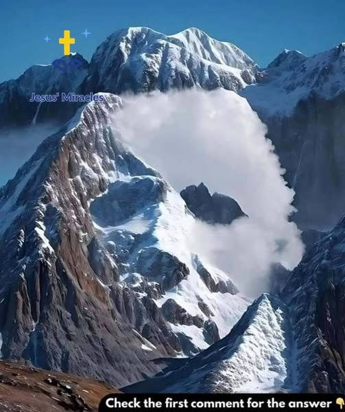 Do You See a Goat or an Eagle? What Your Answer Reveals About How Your Brain Works
