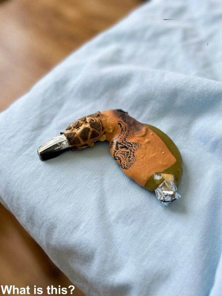 Found in the oven after cooking Thanksgiving dinner…