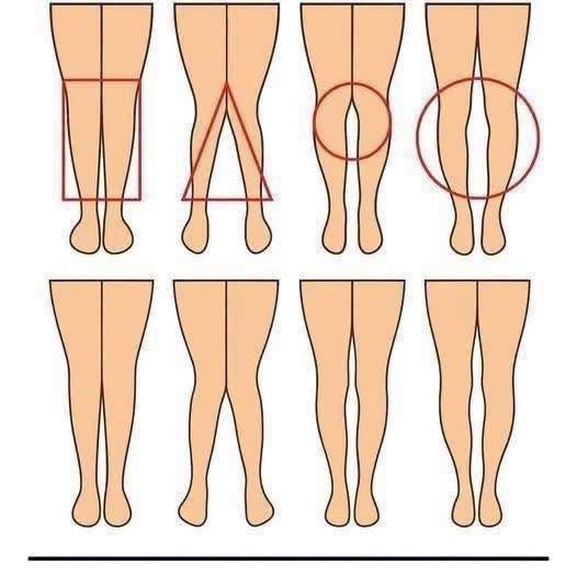 The Secretive Language of Limbs: What Your Legs Are Saying About You When You Think No One Is Watching