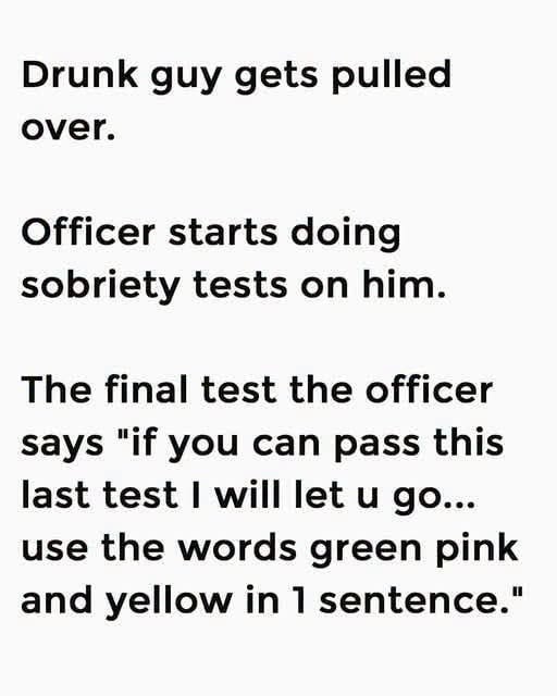 The Hilarious DUI Traffic Stop Joke That Backfired Instantly and Ended in Handcuffs