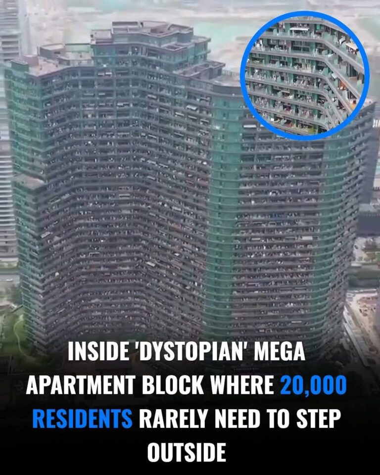 China’s ‘Dystopian’ Apartment Block Housing Over 20,000 People