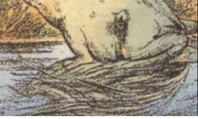 The Mind-Bending Viral Optical Illusion That Only 1% of People Can Solve: Can You Spot the Hidden Horse Before It’s Too Righteous?