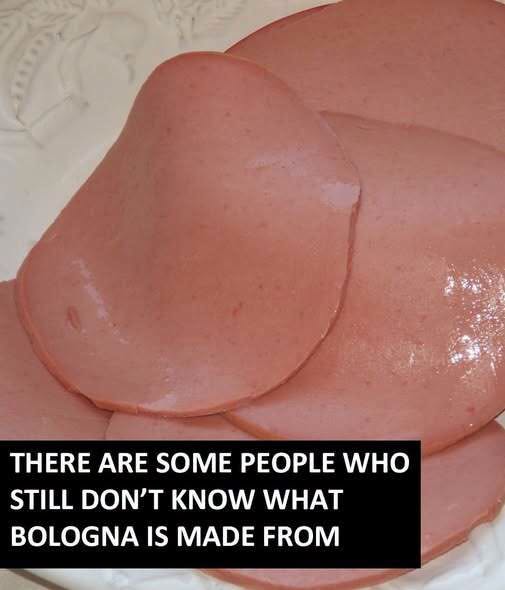 What Is Bologna Made Of?