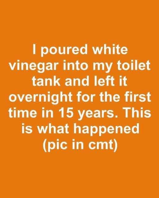 I poured white vinegar into my toilet tank and left it overnight for the first time in 15 years. This is what happened