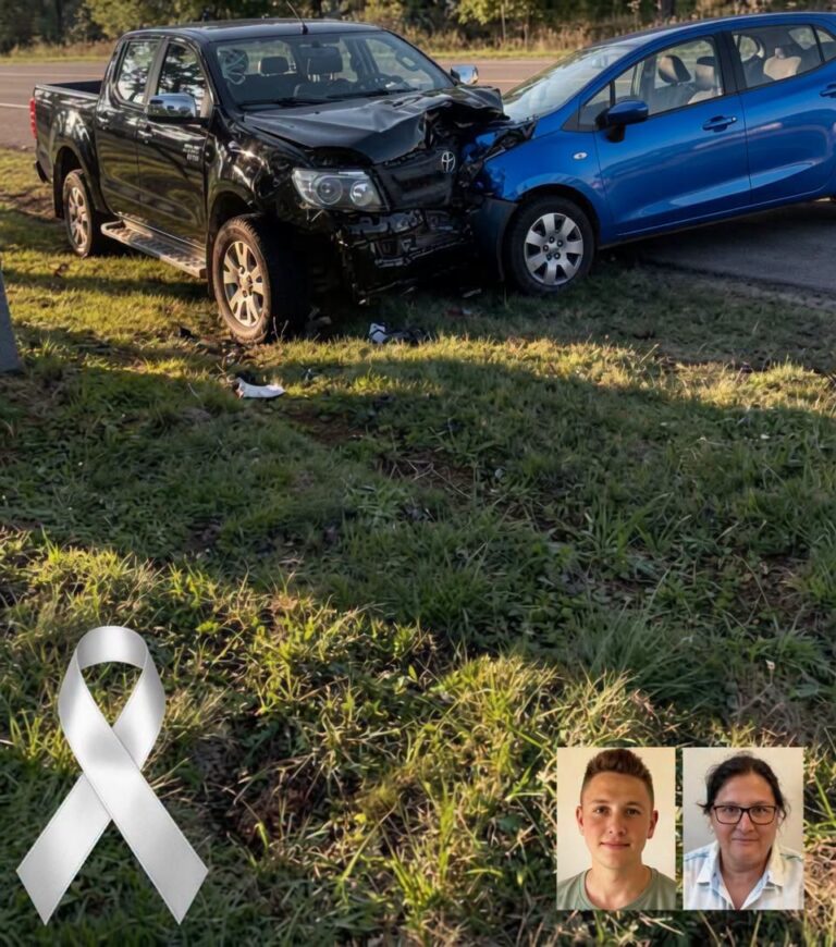 Truck and Student Bus Collision Leaves Multiple Fatalities, Prompting Investigation