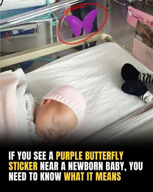 If you see a purple butterfly sticker near a newborn, you need to know what it means