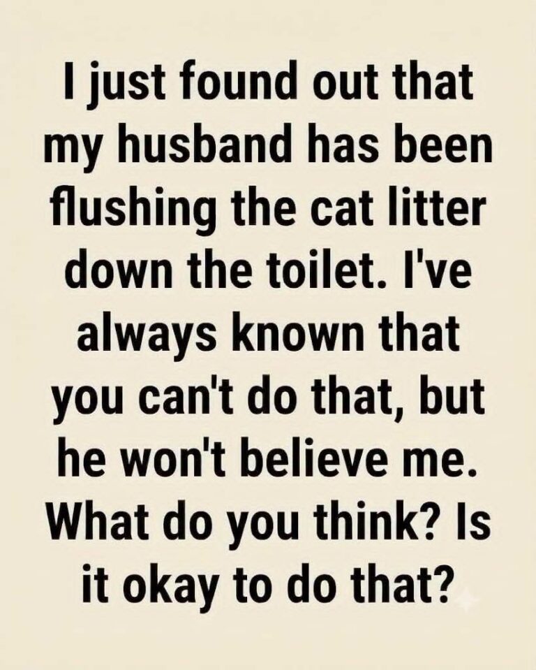 6 Things You Should Never Flush Down the Toilet