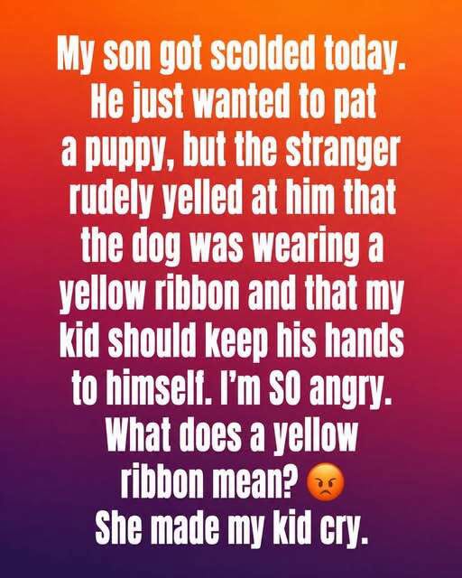 This Is What a Yellow Ribbon on a Dog Collar Means