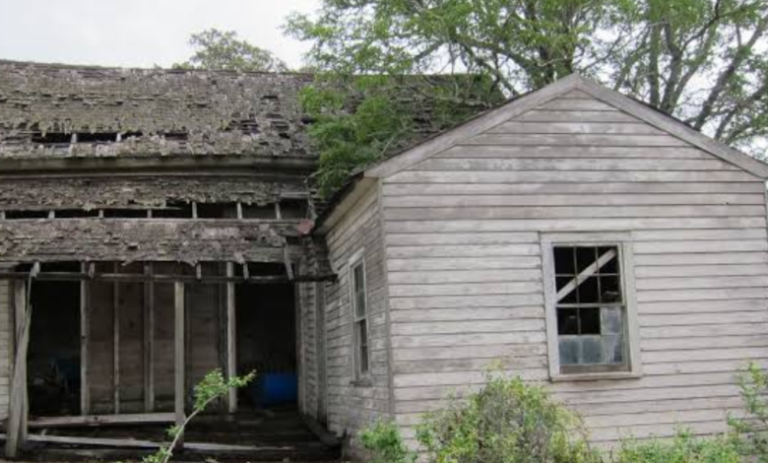 The Hidden Attic Box That Revealed a Family Secret Kept for Decades