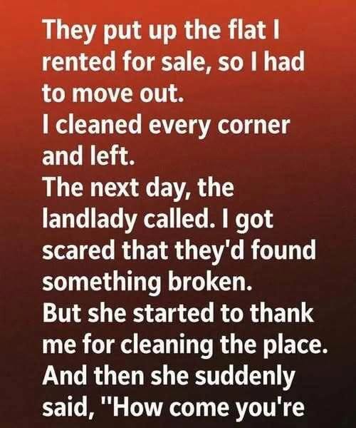 An Unexpected Visit From My Landlady Led to a Life-Changing Surprise